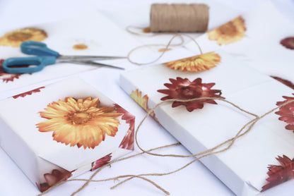 New Zealand In Bloom Wrapping Paper Book - Daisy Chain design